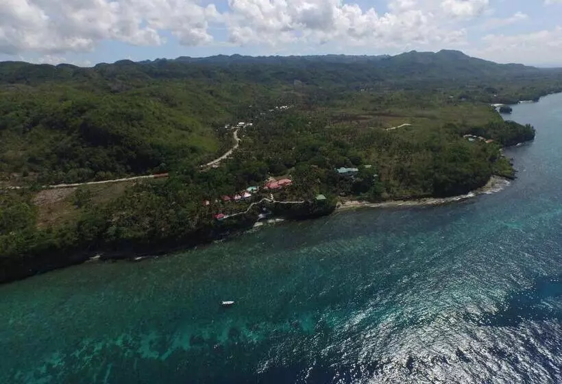 Blue Star Dive And Resort