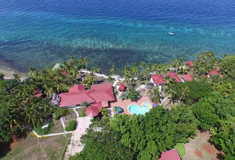 Blue Star Dive And Resort