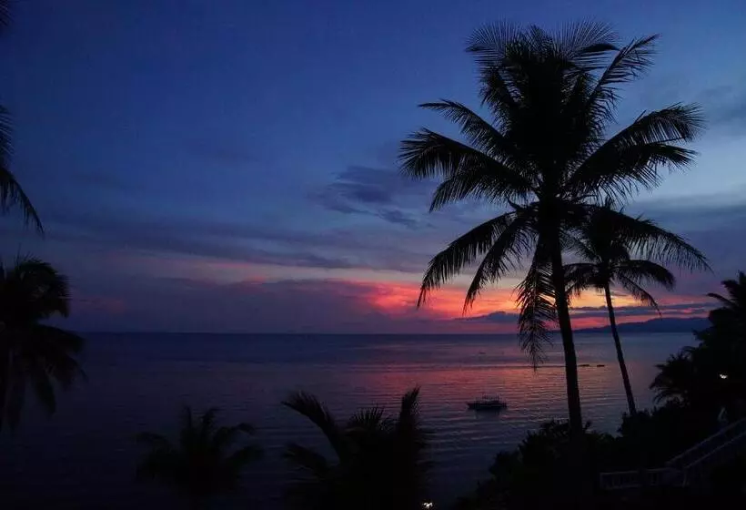 Blue Star Dive And Resort