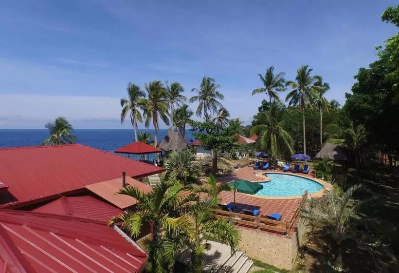 Blue Star Dive And Resort