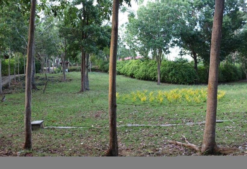 Blue Star Dive And Resort