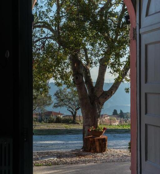 בית מלון כפרי Agriturismo Piano Del Monaco