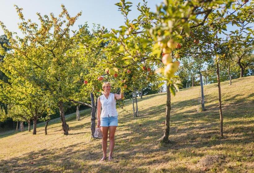 هتل Herbalija Apartment Herbalija Sorrounded By Nature