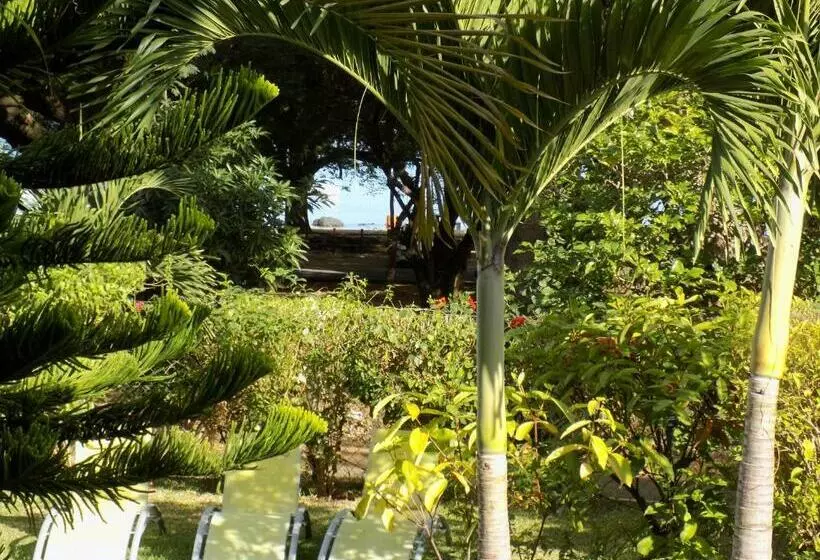 پانسیون Villa Osumare Guest House