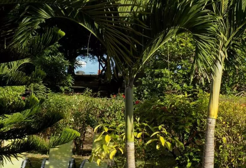 پانسیون Villa Osumare Guest House