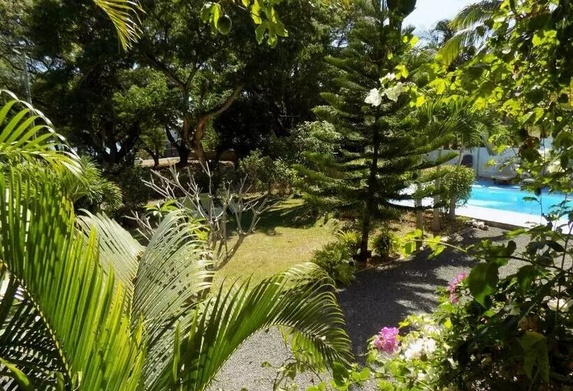 پانسیون Villa Osumare Guest House