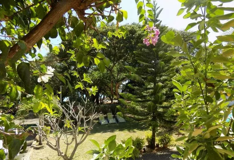 پانسیون Villa Osumare Guest House