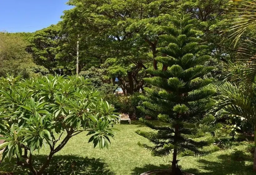 پانسیون Villa Osumare Guest House