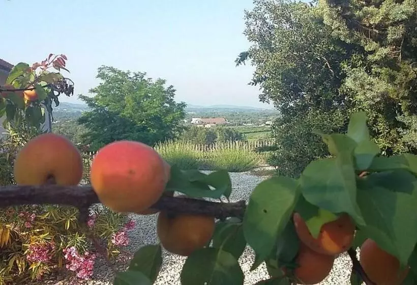 Aamiaismajoitus (B&B) Masmazan