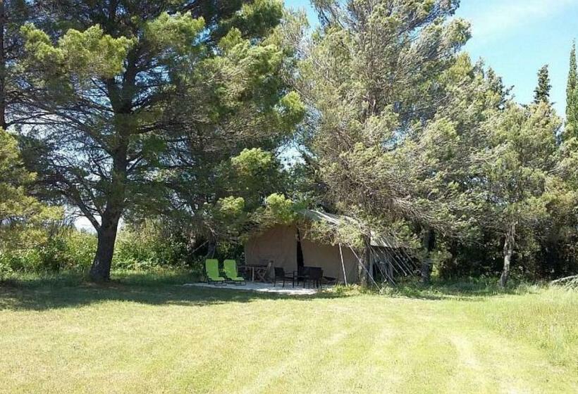 تختخواب و صبحانه Masmazan