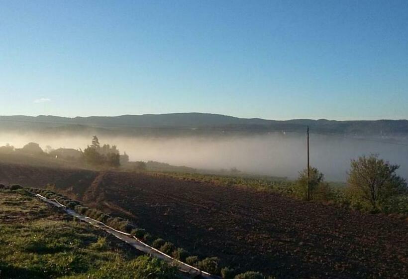 تختخواب و صبحانه Masmazan