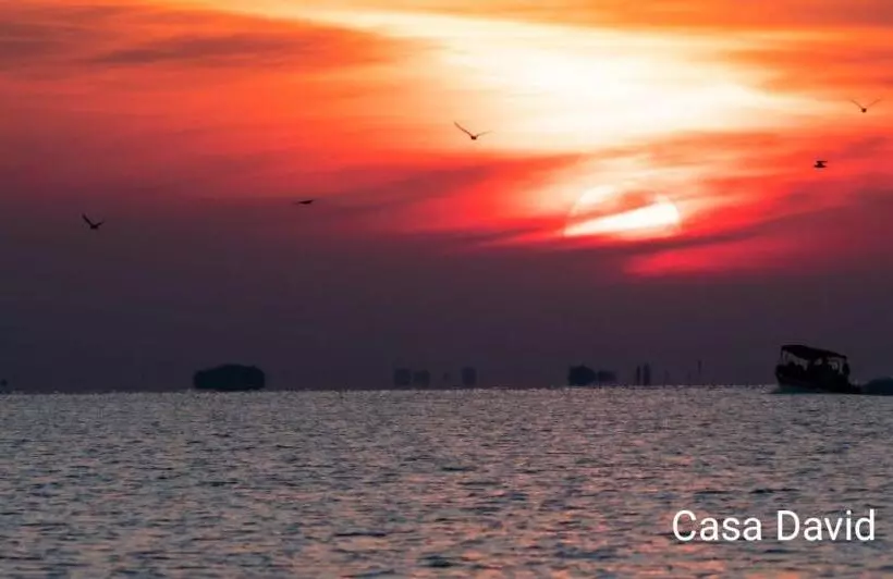 پانسیون Casa David