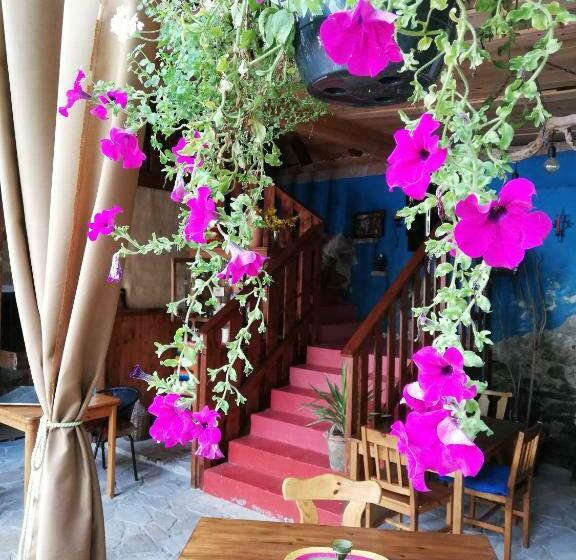 펜션 Gästehaus Kleine Mühle