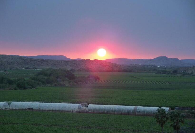 פנסיון The Overlook