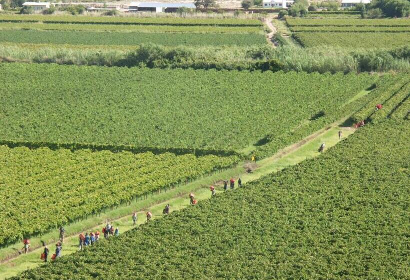 פנסיון The Overlook