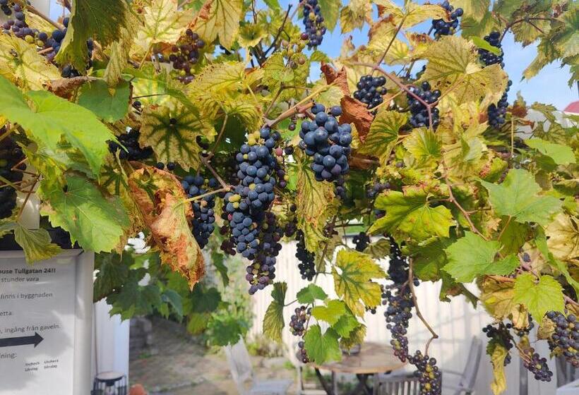 فندق صغير Guest House Tullgatan 24