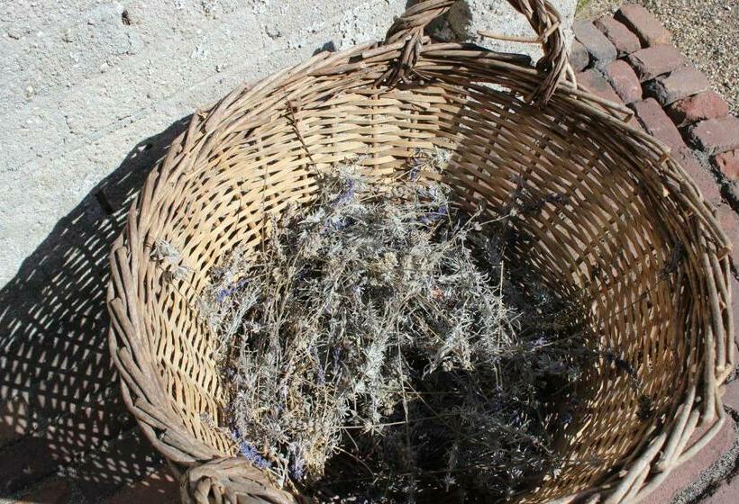 ベッドアンドブレックファースト Het Aambeeld