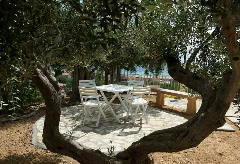 تختخواب و صبحانه L Ulivo Sul Mare