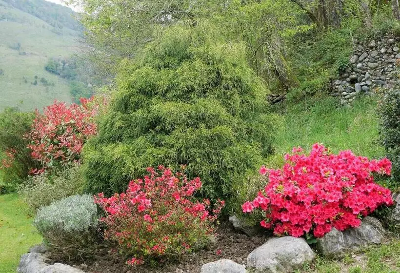 Aamiaismajoitus (B&B) Maison D Hôtes Les 3 Baudets