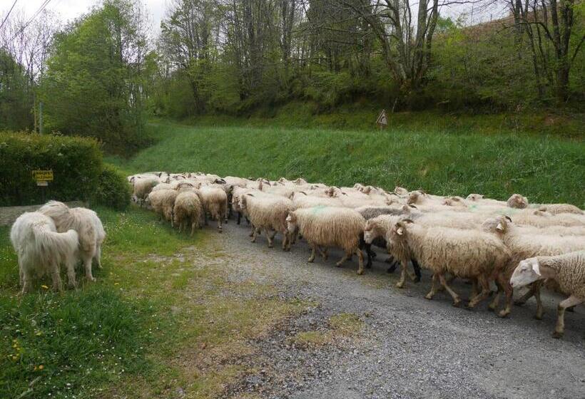 צימר Maison D Hôtes Les 3 Baudets