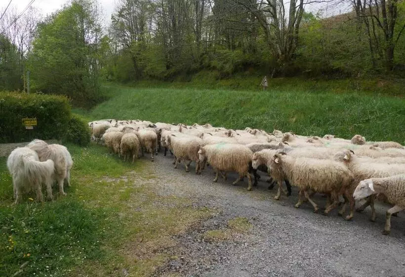 Aamiaismajoitus (B&B) Maison D Hôtes Les 3 Baudets