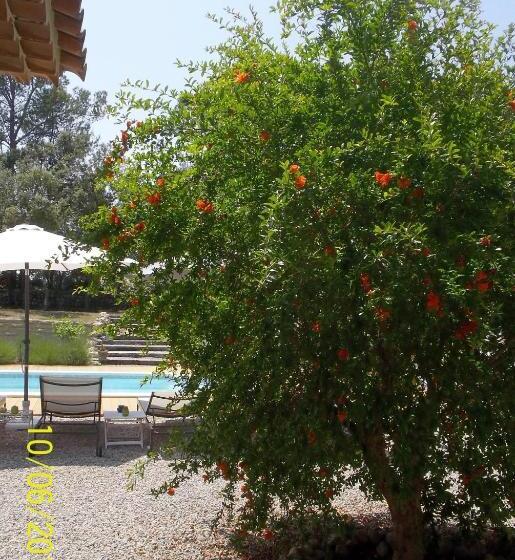 تختخواب و صبحانه Maprovencale