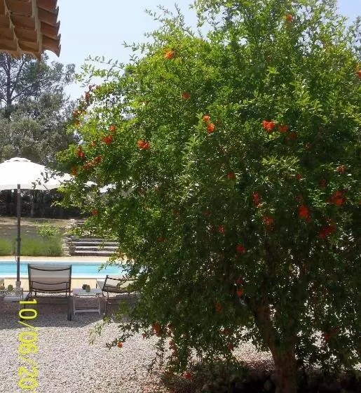 ベッドアンドブレックファースト Maprovencale