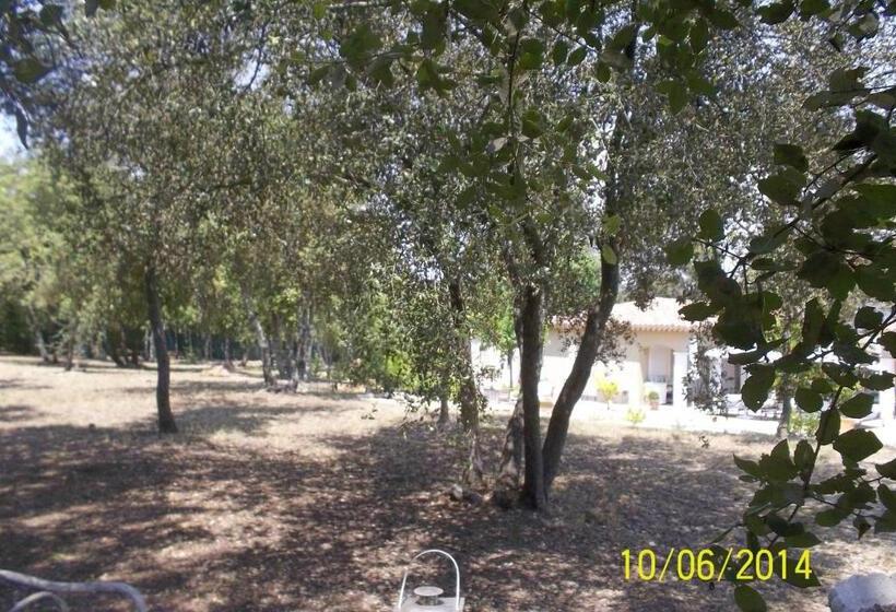 تختخواب و صبحانه Maprovencale