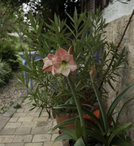 住宿加早餐 Marguerite S Ferme Rustique