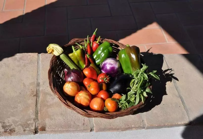 ホテル Agriturismo Parzalla