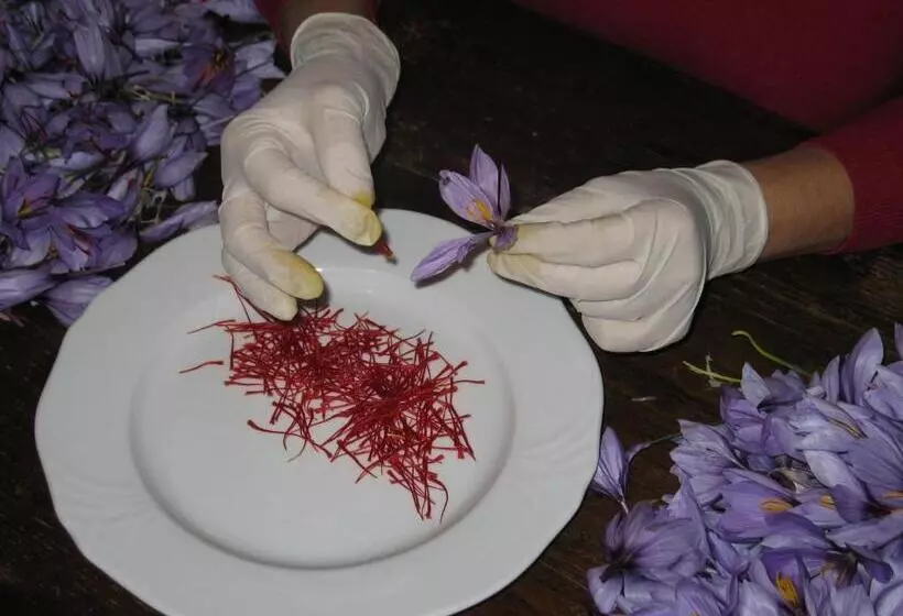 ホテル Agriturismo Parzalla