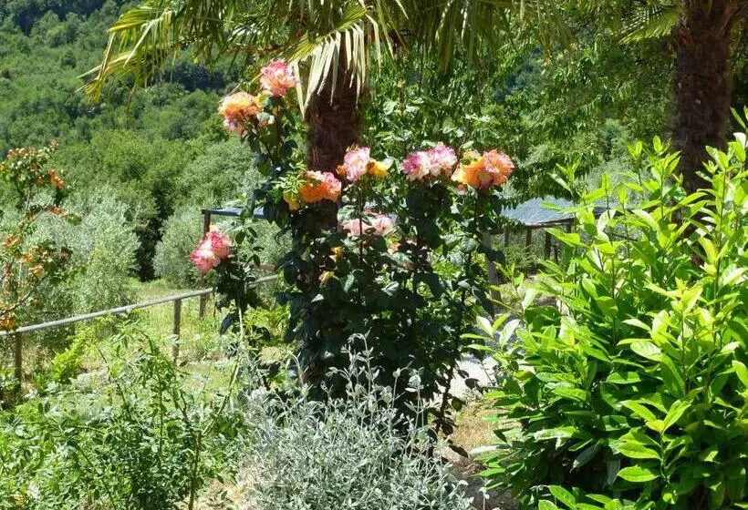ホテル Agriturismo Parzalla