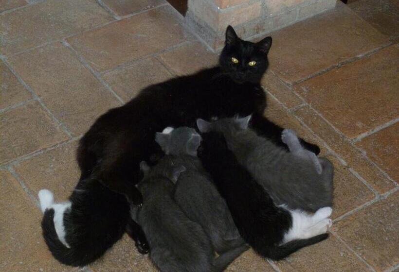 Отель Agriturismo Parzalla