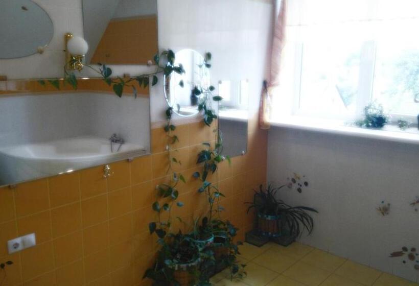 پانسیون Arsenal