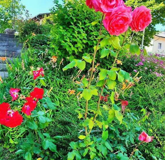 /pension Rosengarten