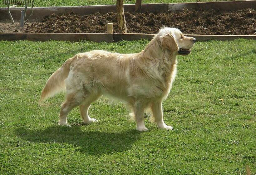 ベッドアンドブレックファースト Maison Chabrat