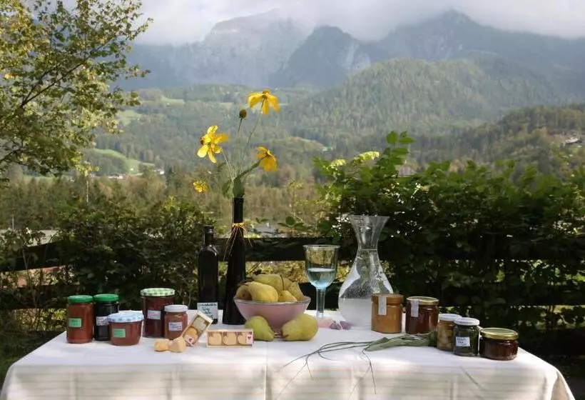 Bio & Vegi Pension Krennleiten