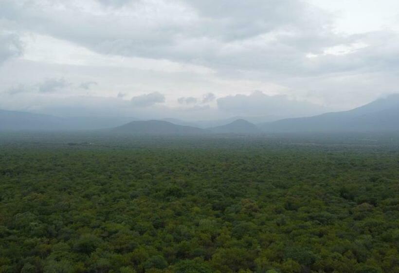 בית מלון כפרי Boschfontein Guest Farm