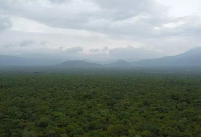 ホテル Boschfontein Guest Farm