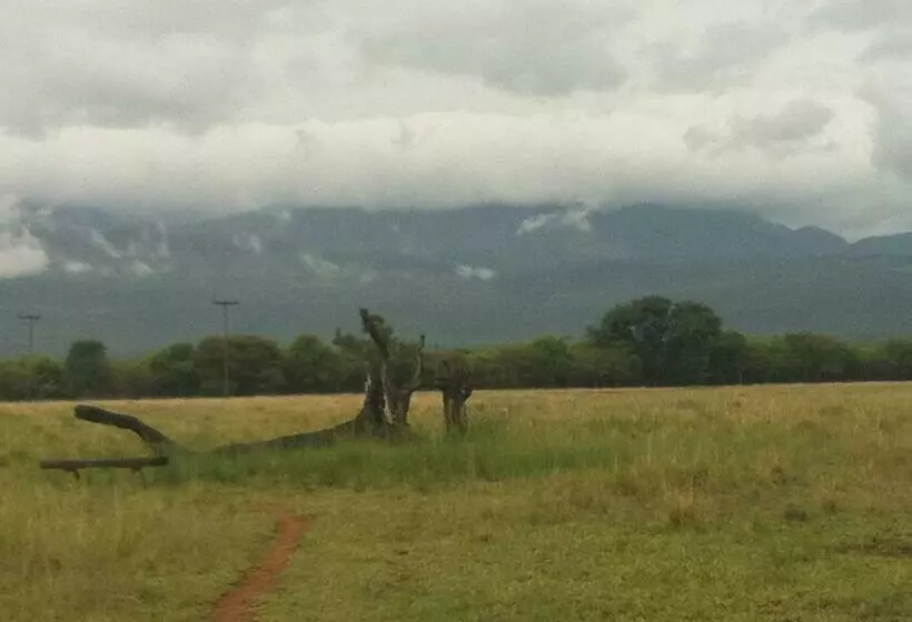 ホテル Boschfontein Guest Farm