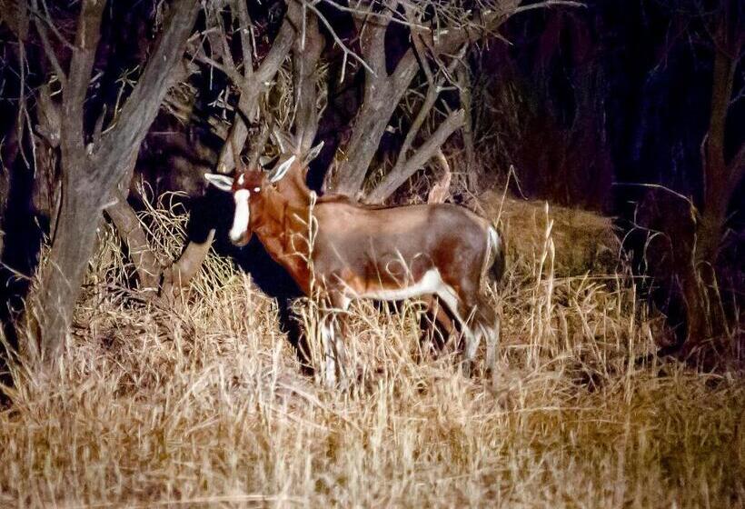 בית מלון כפרי Boschfontein Guest Farm