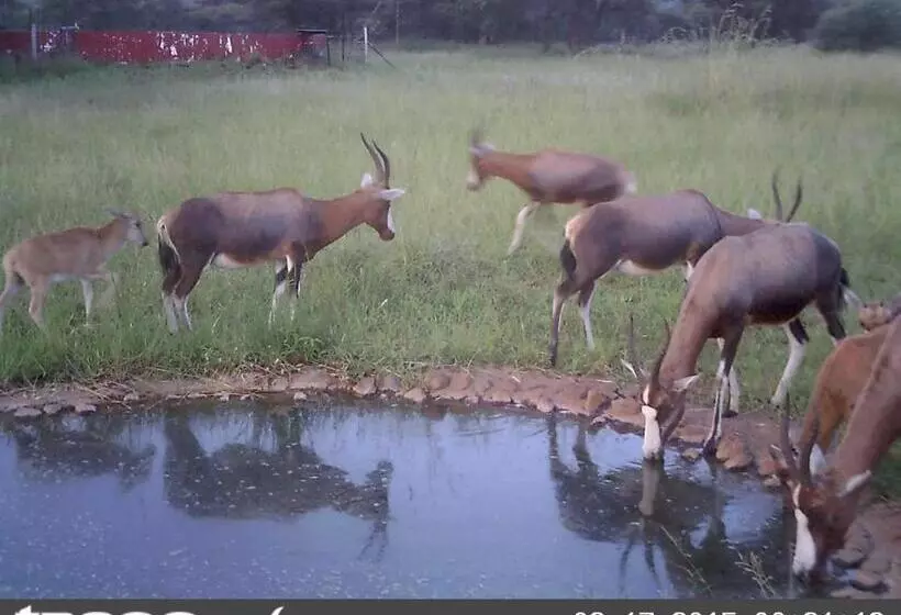 ホテル Boschfontein Guest Farm