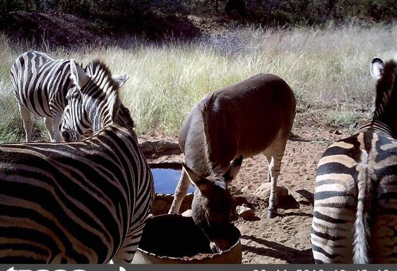בית מלון כפרי Boschfontein Guest Farm