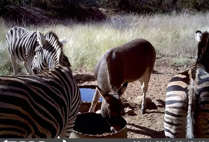ホテル Boschfontein Guest Farm