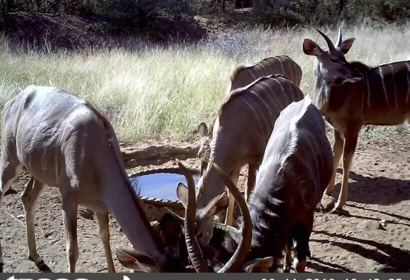 ホテル Boschfontein Guest Farm