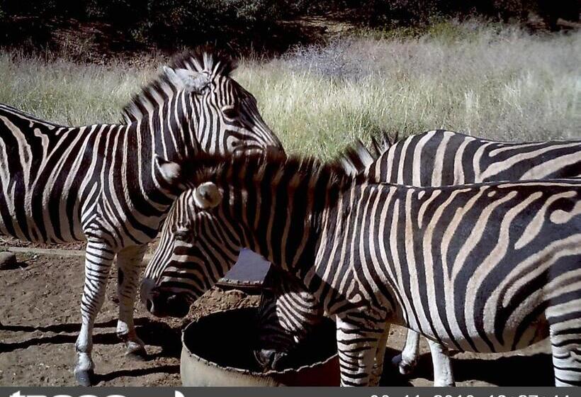 בית מלון כפרי Boschfontein Guest Farm