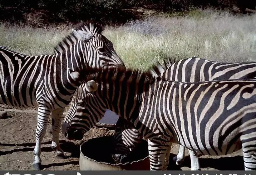 ホテル Boschfontein Guest Farm