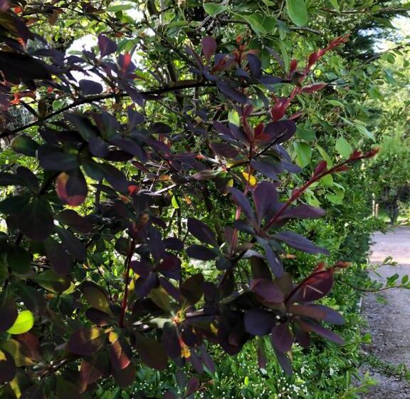 ホテル Casas Dos Infantes Turismo Rural