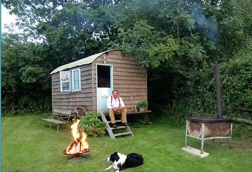 ホテル Mollies Hut