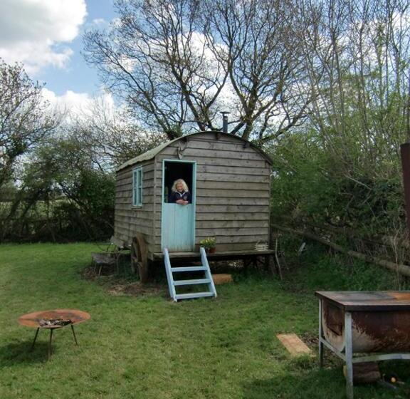 Отель Mollies Hut